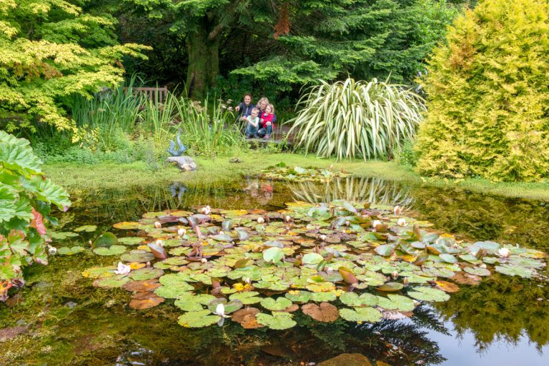 Armadale Castle ponds DSC 5329 photo Simon Larson 768x513