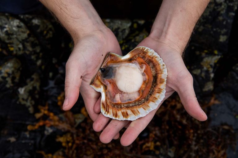 untitled 88 of 180 768x512