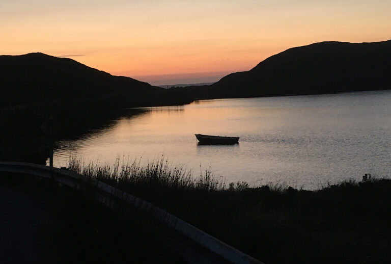 IMG 21Jan2021at165703 768x518