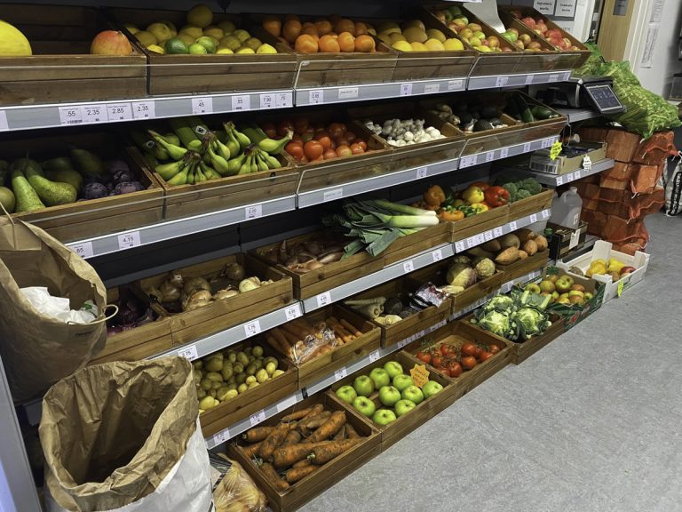 VegSept23 1 768x576
